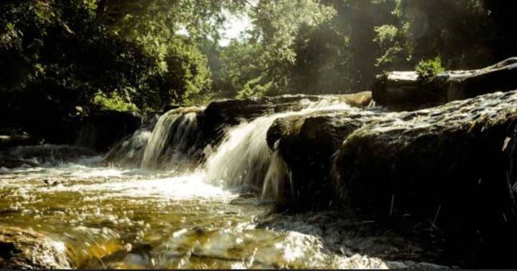 Bull Creek District Park