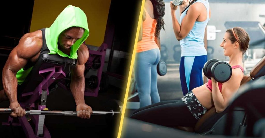 Comparing Spider Curls to Incline Curls